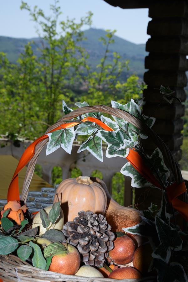 Borgo Della Molara Hotel Grottaferrata Esterno foto